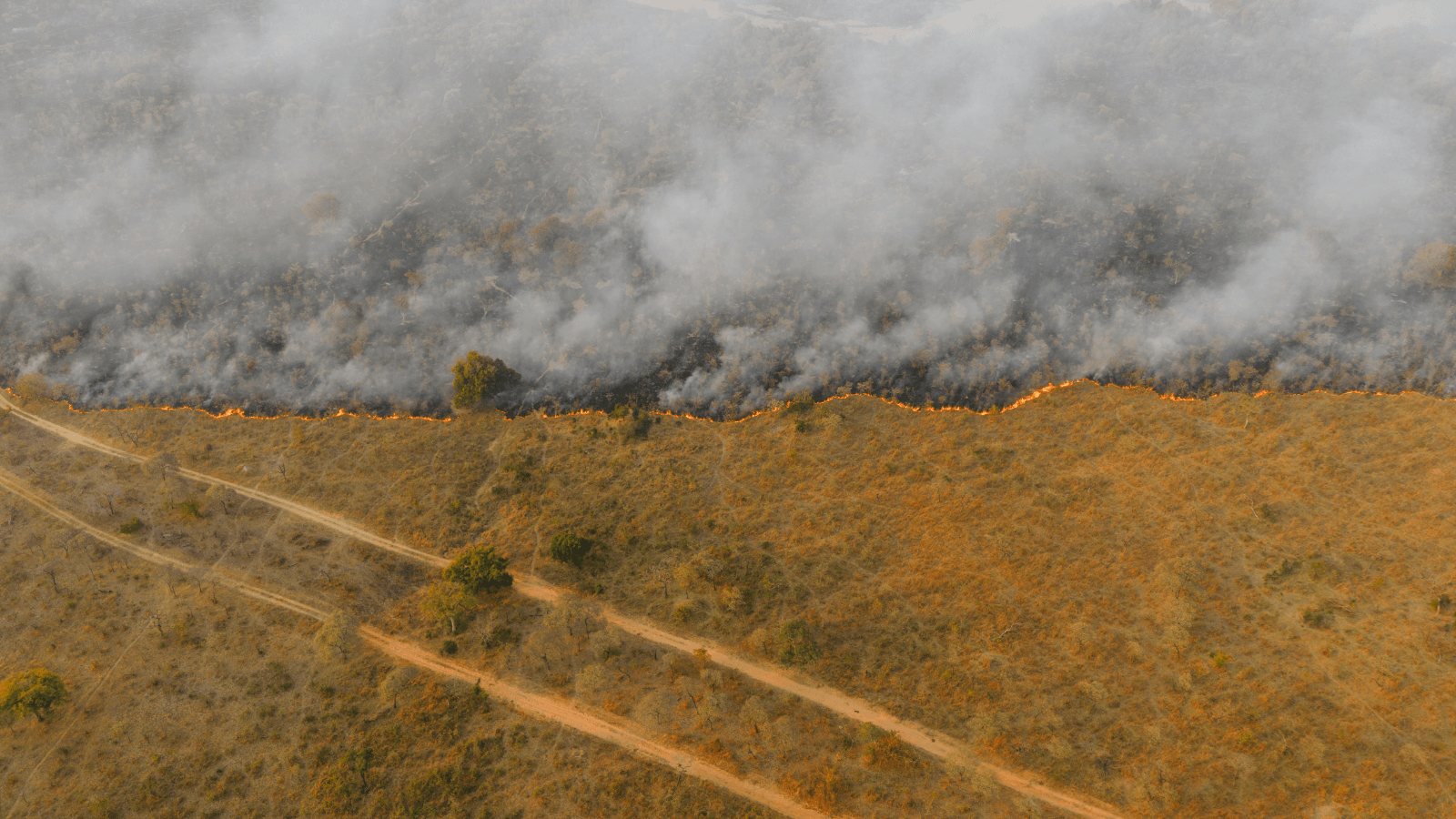 Wildfire Preparedness: Leadership Under Pressure